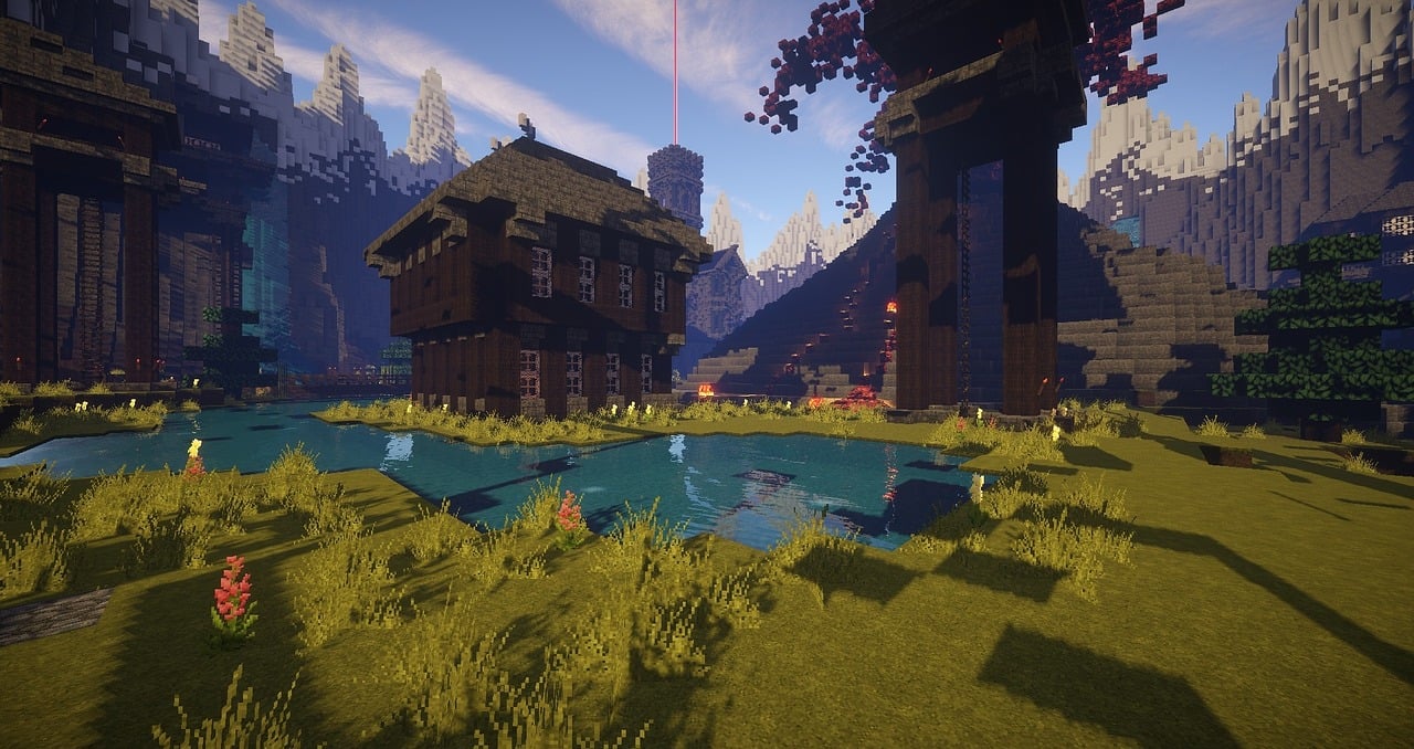Minecraft VDS