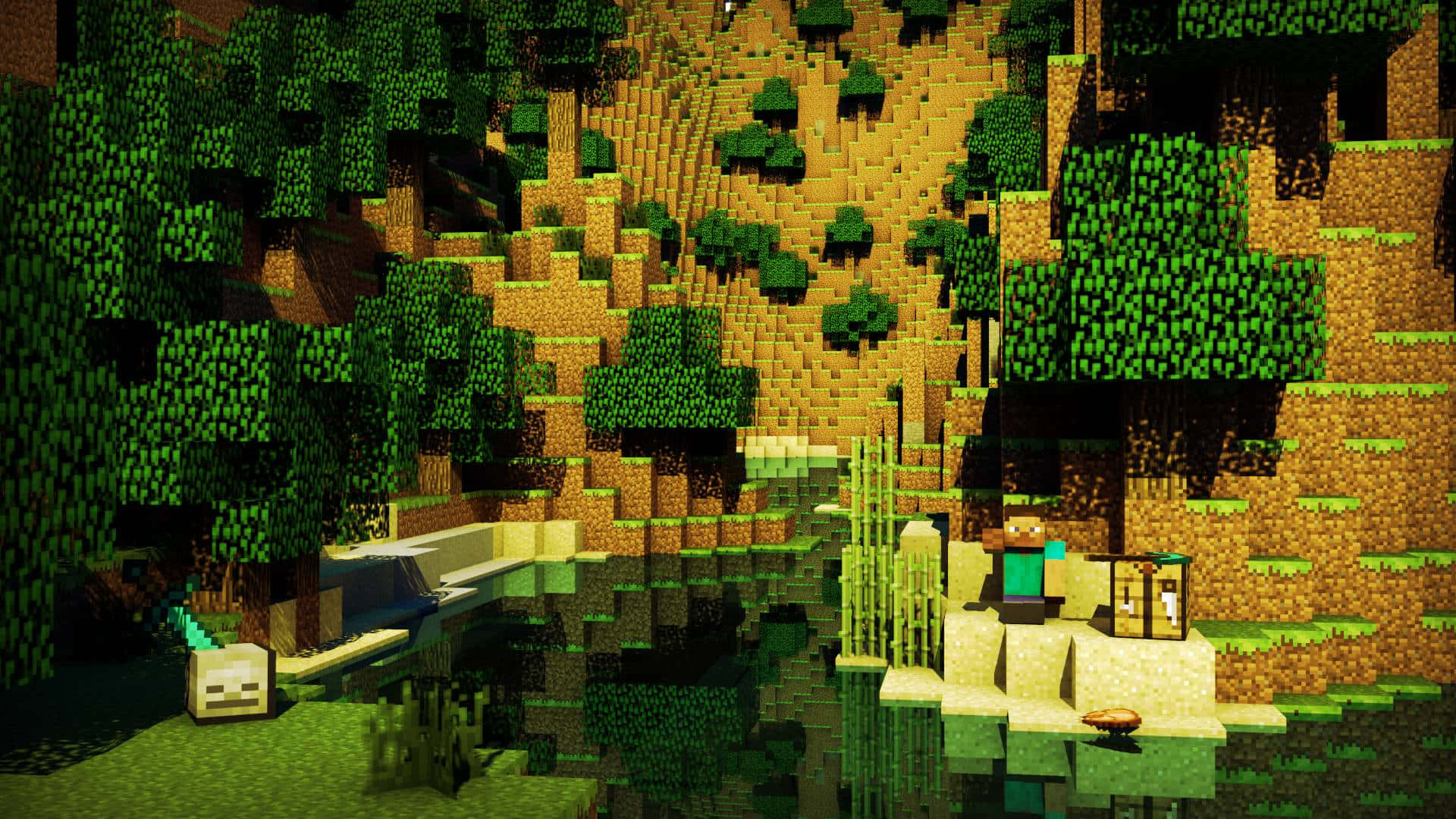 Minecraft VDS Seçimi