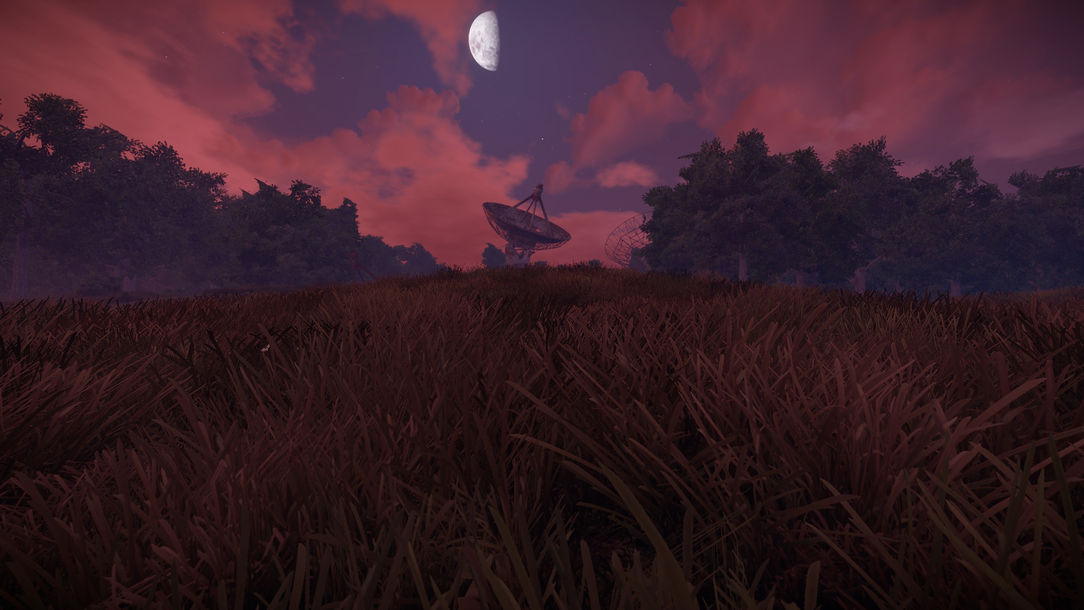 Rust VDS Kullanım Alanları